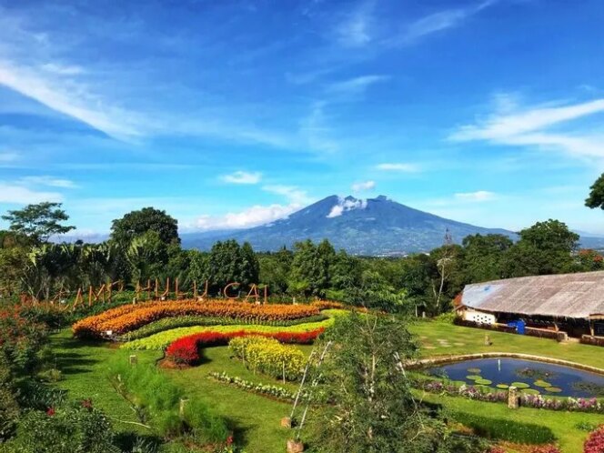 
 Camp Hulu Cai Bogor, Tempat Liburan Bareng Keluarga Yang Menyenangkan