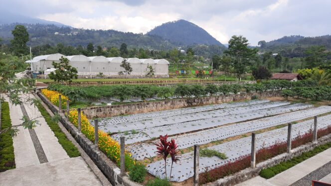 
 Agrowisata Amanah, Lokasi Wisata Edukasi Menarik Yang Ada Di Tawangmangu